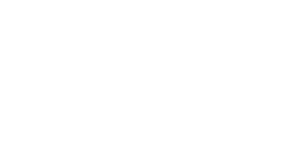 logo-laadpaal-nl-diap